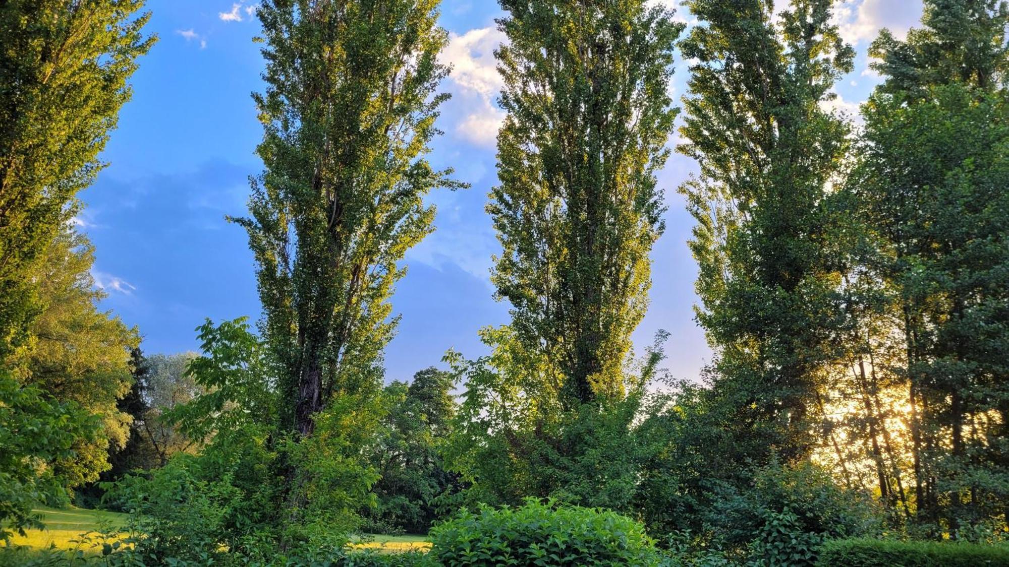 Villa Blu Sankt Kanzian am Klopeiner See Esterno foto